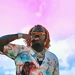 Picture for song 'Lamborghini Boyz' by artist 'prod. enzo'