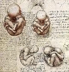 Picture for song 'Jay-z - 99 prob. remix ( by rebiirth)' by artist 'ReBiirth'