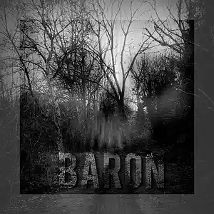Picture for song 'BARON - Hard Violin Trap Type Beat' by artist 'Raky McFly'