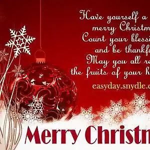Picture for song 'Oh Holy Night' by artist 'The Markdanyells'