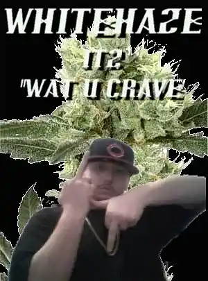 cover pic