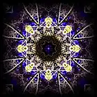 Picture for song 'Magnetic Tides' by artist 'Alexandre Falcao'