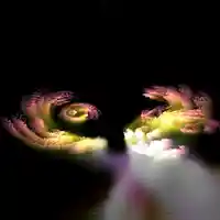 Picture for song '10.christmas with you wip' by artist 'BGN'