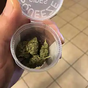 Picture for song 'smoke monkey' by artist 'Break Free present'