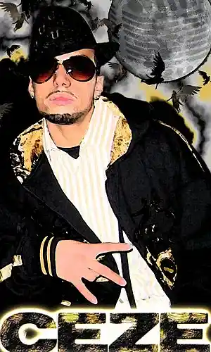 Artist picture