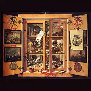 Picture for song 'Cabinet of Curiosities' by artist 'Desiradio'