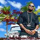 Picture for song 'Palm Trees & Impalas | ($0.99 Demo DL)' by artist 'John Coleman'