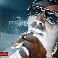 Picture for song 'INSTRUMENTAL YOUNG DOLPH 2016' by artist 'LsB808s'