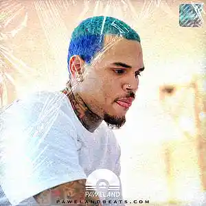 Picture for song 'STRIPPED - (Chris Brown Type Beat, Halsey Beat)' by artist 'Paweland Beats'
