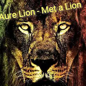 Picture for song 'Aure Lion - Met A Lion' by artist 'Aure Lion'