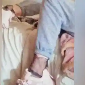 Picture for song 'The Cry - KerryLouiseTaylor' by artist 'BBC MIXSound'