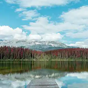 Picture for song 'Backpacks & Bikes' by artist 'Beats by Pixel'