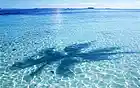 Picture for song 'clear' by artist 'COLLIES'