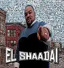 Picture for song 'RING AROUND THE ROSIES' by artist 'El Shaadai aka Papa Shaad'