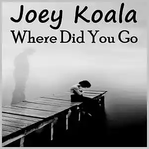 Picture for song 'Where Did You Go' by artist 'Joey Koala'