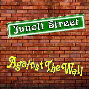 Picture for song 'Shoot The Moon' by artist 'Junell Street'