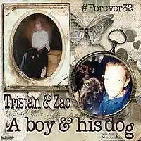 Picture for song 'Pattern on My Wall' by artist 'Remembering Steady Eddie'