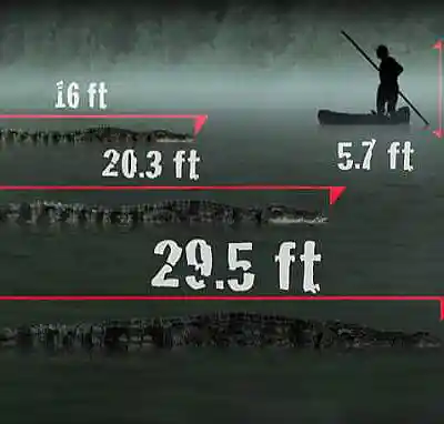 Picture for song '29 Ft.' by artist 's9undV1ZNZ K 0 D 3 7'