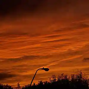 Picture for song 'Bruised Orange (Dominic Fike x Arctic Monkeys Type' by artist 'SoupBeats'