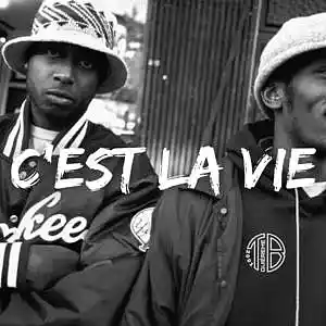 Picture for song 'C'EST LA VIE' by artist 'Toma Beatz'