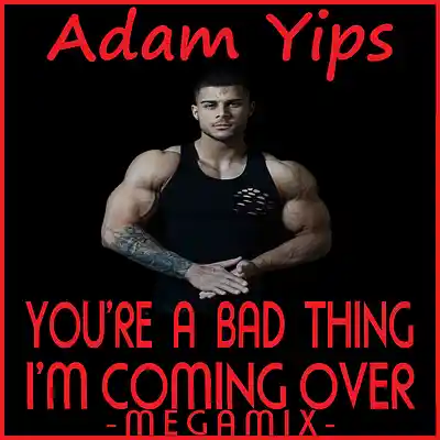 Picture for song 'Youre A Bad Thing, Im Coming Over (Megamix)' by artist 'Adam Yips'