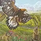 Picture for song 'Sailing into the valley and looking for death' by artist 'Bird of habibaH'