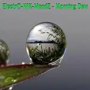 Picture for song 'Morning Dew' by artist 'ElectrO-NIK-MoodZ'