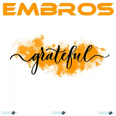 Picture for song 'Grateful' by artist 'Embros'