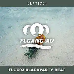 Picture for song 'AfroParty (AfroBeat)' by artist 'FLGANG AO'