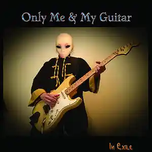 Picture for song 'Hole In My Heart' by artist 'In Exile'