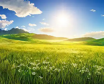 Picture for song 'My Sunshine' by artist 'Keith Mitchell'