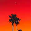 Picture for song 'CRUISIN (+4 FREE BEATS)' by artist 'qozee'