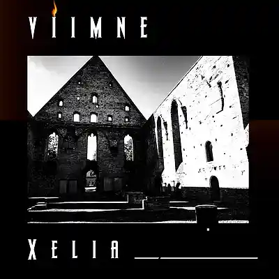 Picture for song 'Viimne Xelia' by artist 'Reflexion X'