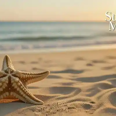 Picture for song 'Insult My Dog' by artist 'Kay-Lynn Carew'