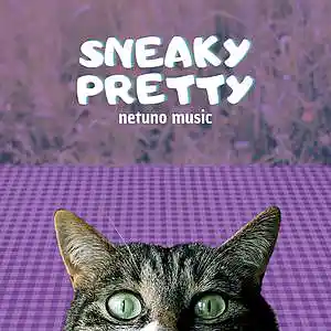 Picture for song 'Sneaky Pretty (long version)' by artist 'Netuno Soundtracks'