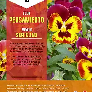 Picture for song 'Dia 13-Flor Pensamiento' by artist 'Producciones Vandor'