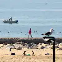 Picture for song 'Waiting for Christmas in' by artist 'The Serendipitous Cacophonies'