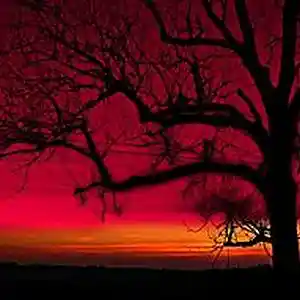 Picture for song 'Shook(Prod.whoDeany)' by artist 'whoDeanyBeatz'