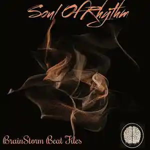 Picture for song 'Soul of Rhythm' by artist 'BrainStorm Beat Files'