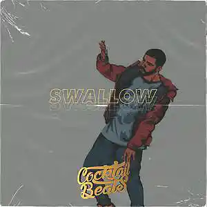 Picture for song 'DRAKE TYPE *Swallow*' by artist 'Cocktail Beats'