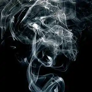 Picture for song 'Blazer 45' by artist 'Coastal Tropics ENT'