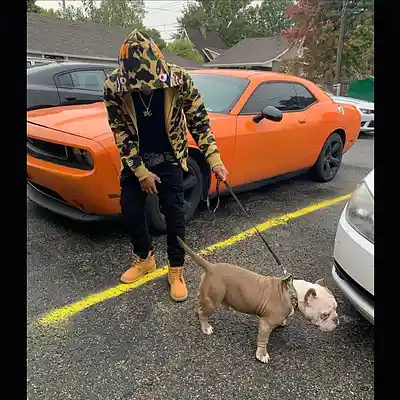 Picture for song '"On Sight" - BUY 2 GET 1 FREE' by artist 'prodleavz'