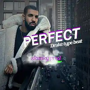 Picture for song 'Perfect * Drake type beat 173 bpm' by artist 'Skunky Prod Beatmaker'