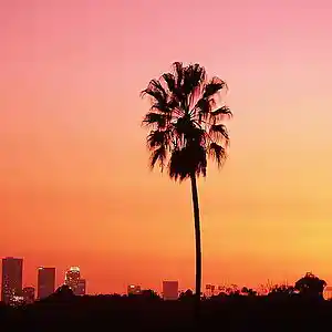 Picture for song 'Flavaz' by artist 'DRAMATHEPRODUCER'