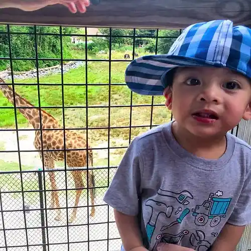 Picture for song 'Because of you' by artist 'FaNaRuSa'