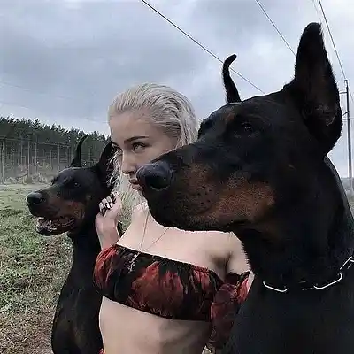 Picture for song '"Faded" - Lithe type beat' by artist 'Landscapes beats'