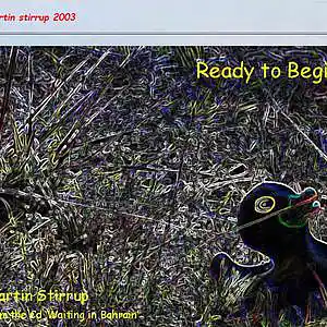 Picture for song 'WIB 05 Are You Ready To begin?' by artist 'martin stirrup'