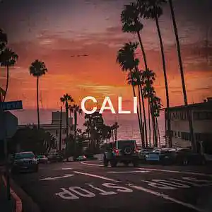 Picture for song 'Cali (Boom Bap x 2pac type beat)' by artist 'Puls Ever'