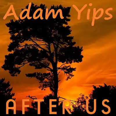 Picture for song 'After Us ft Nomeli' by artist 'Adam Yips'