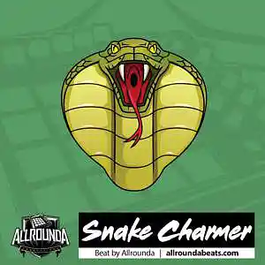 Picture for song 'SNAKE CHARMER (Oriental Beat, Timbaland Type Beat)' by artist 'ALLROUNDA Productions'
